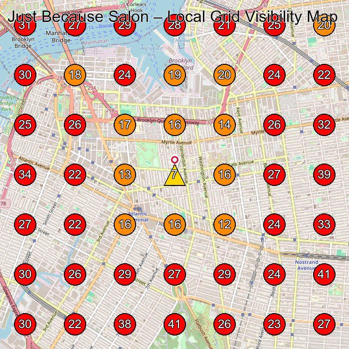 Just Because Salon GeoGrid visibility map for Hair Salon in Brooklyn